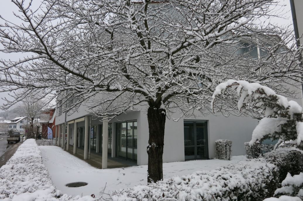 Winter Baum