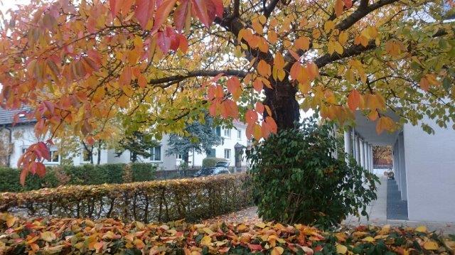 Herbst
